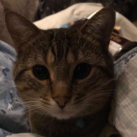 Meet your Posher, Malerie - Picture 1 of 1